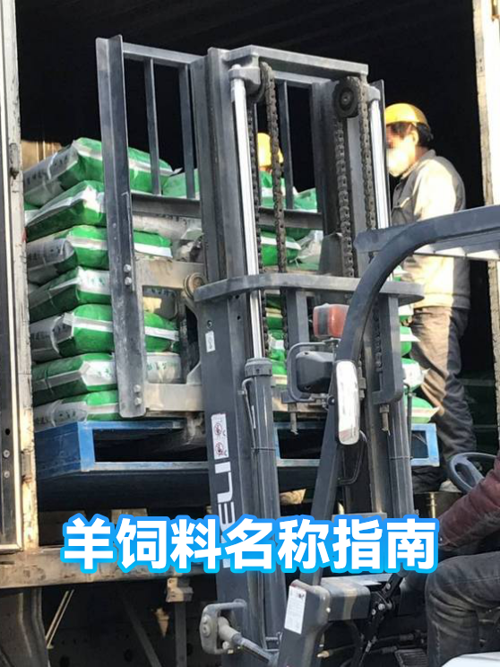 羊饲料名称指南（图1）
