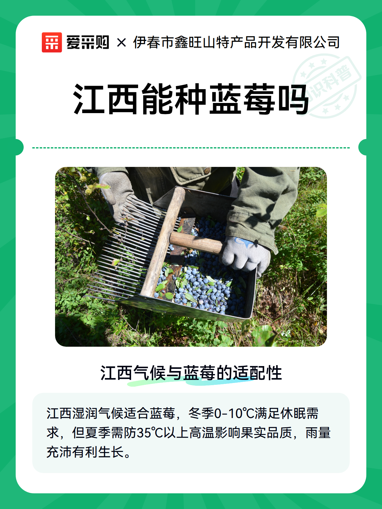 江西能种蓝莓吗（图2）