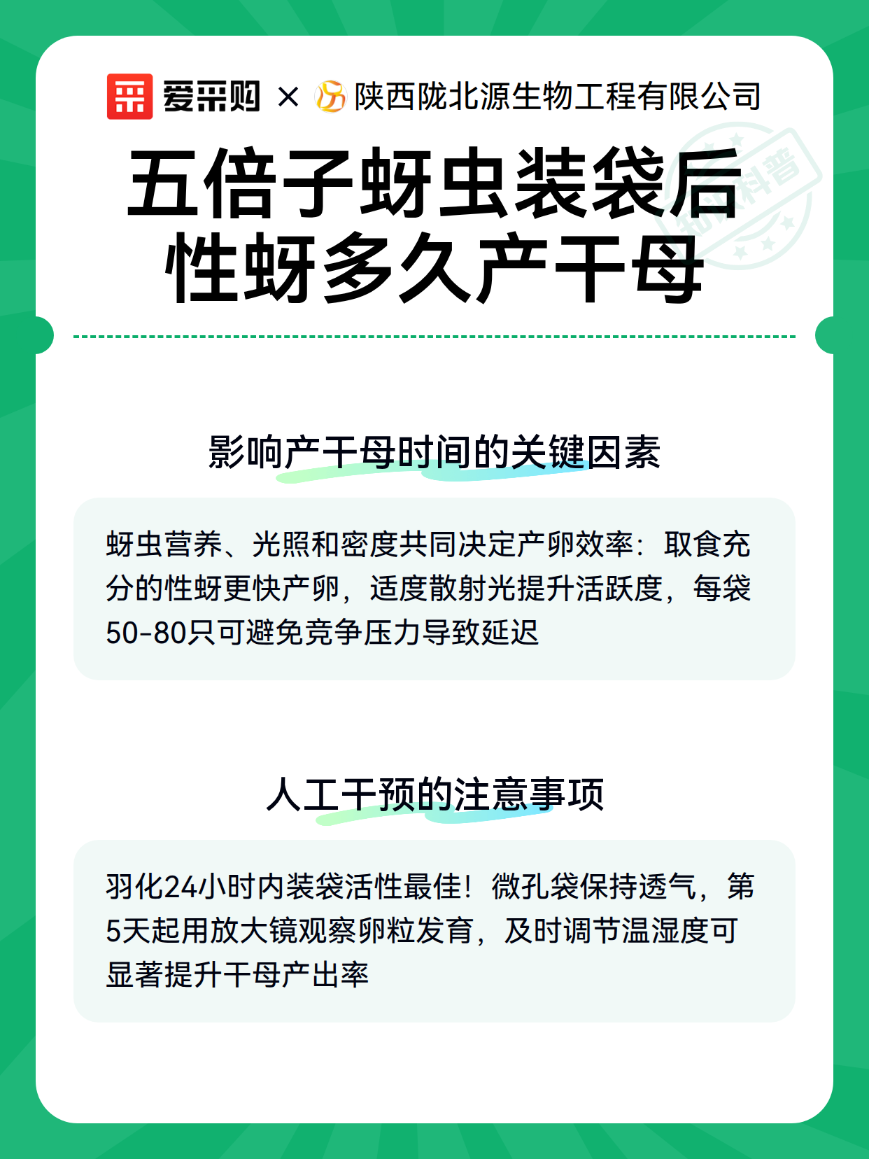 五倍子蚜虫装袋后性蚜多久产干母（图3）