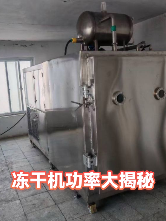 冻干机功率大揭秘（图1）
