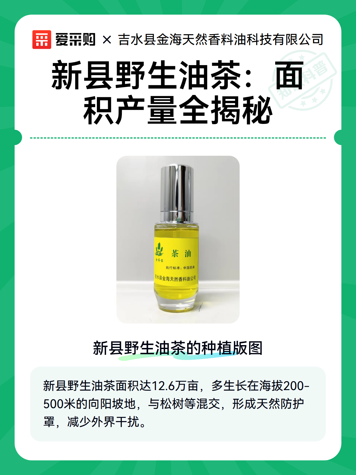 新县野生油茶：面积产量全揭秘（图2）