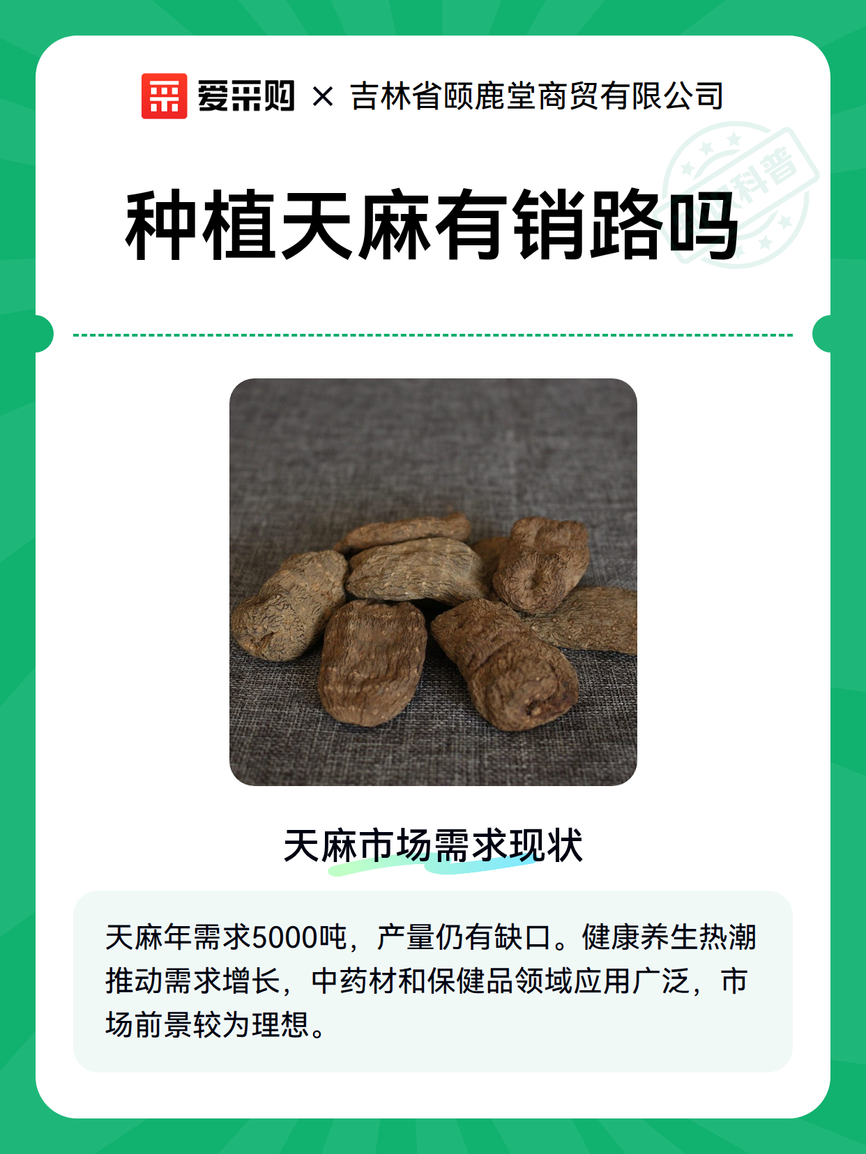 种植天麻有销路吗（图2）