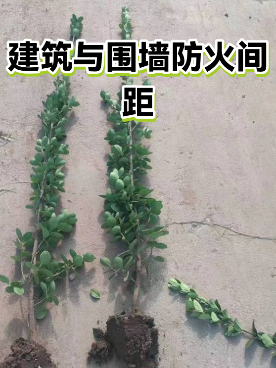 建筑与围墙防火间距（图1）