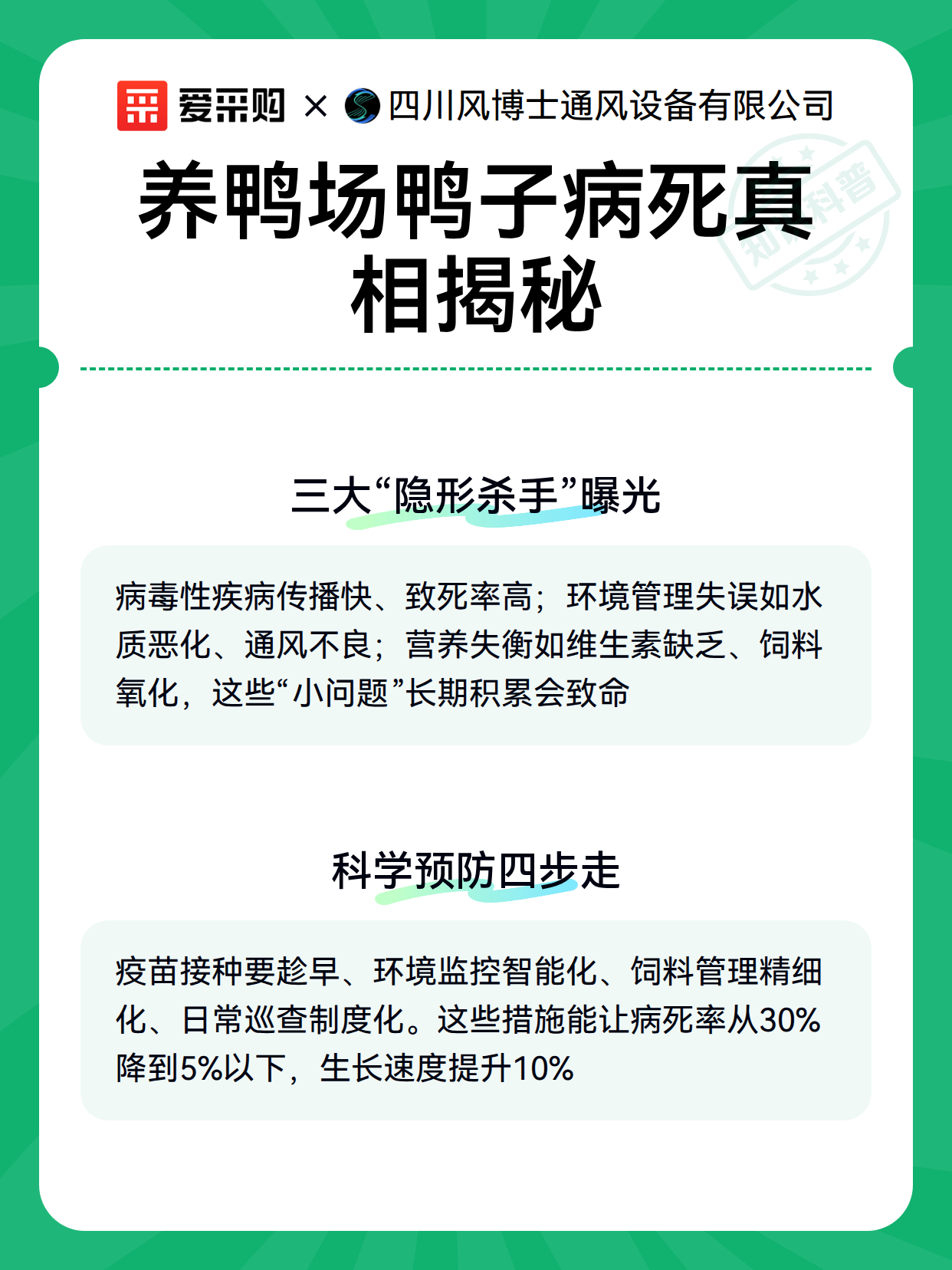 养鸭场鸭子病死真相揭秘（图2）