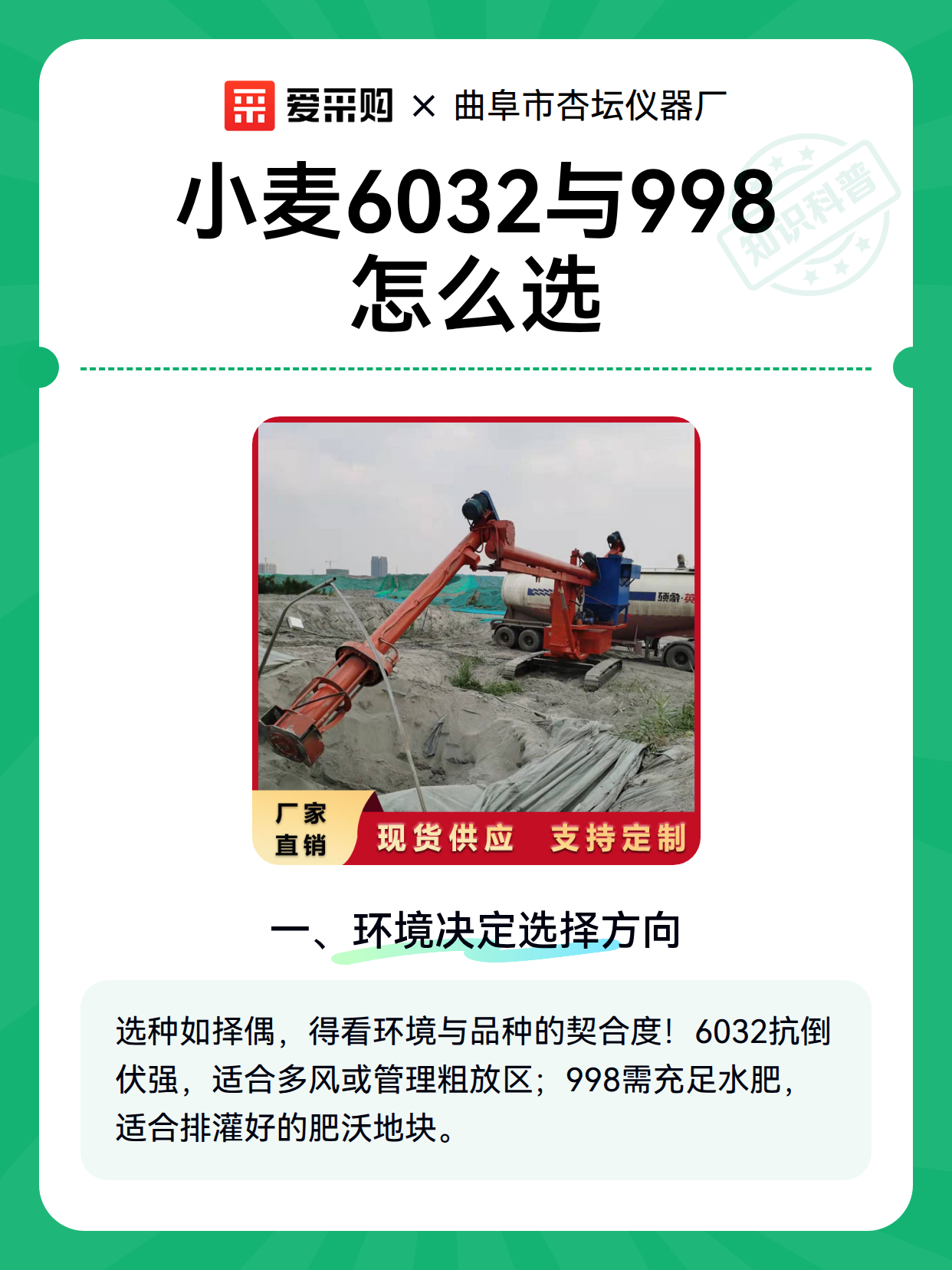 小麦6032与998怎么选（图2）