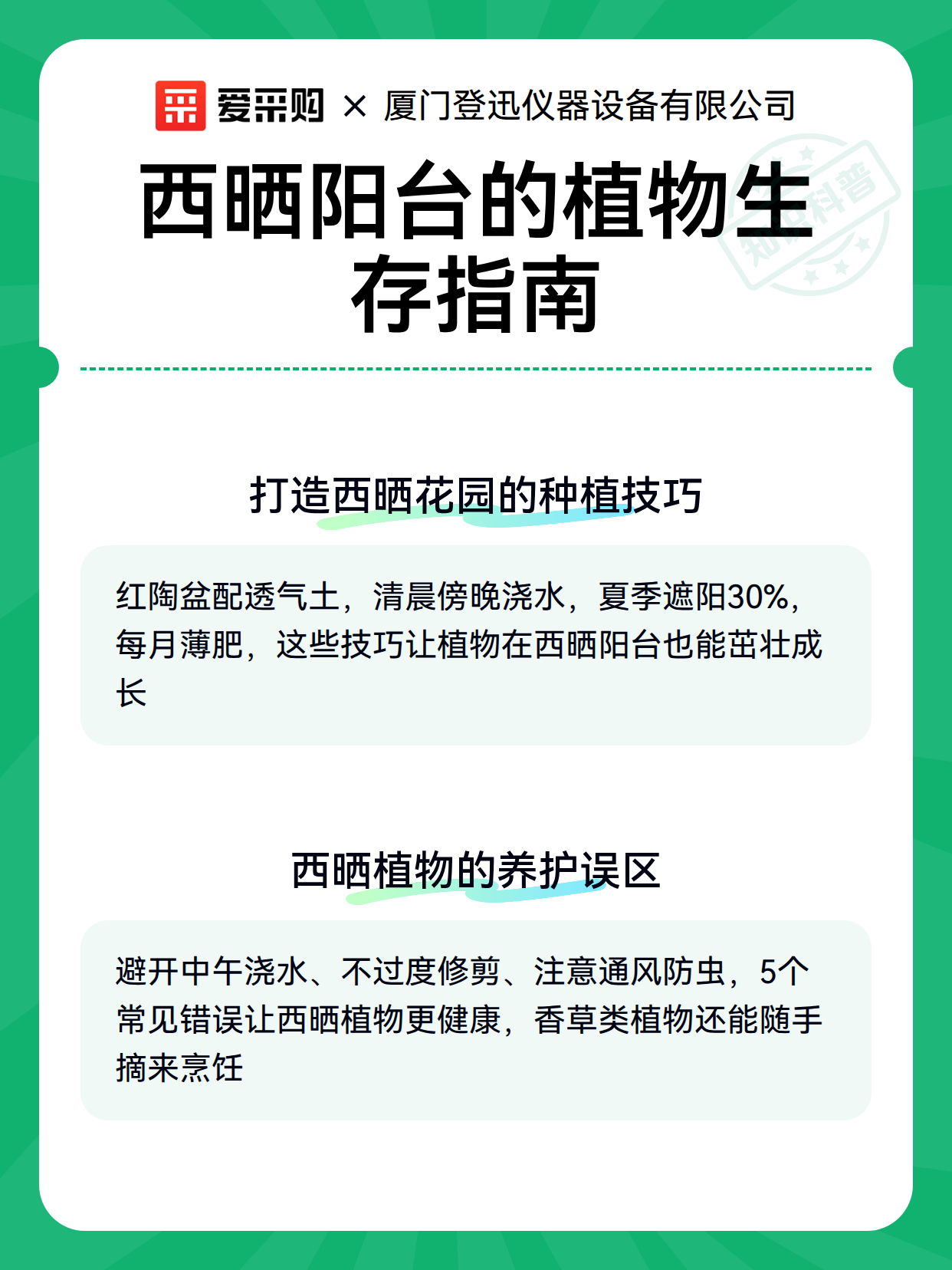 西晒阳台的植物生存指南（图3）