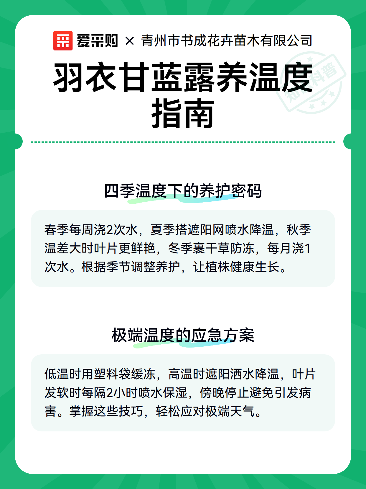 羽衣甘蓝露养温度指南（图3）
