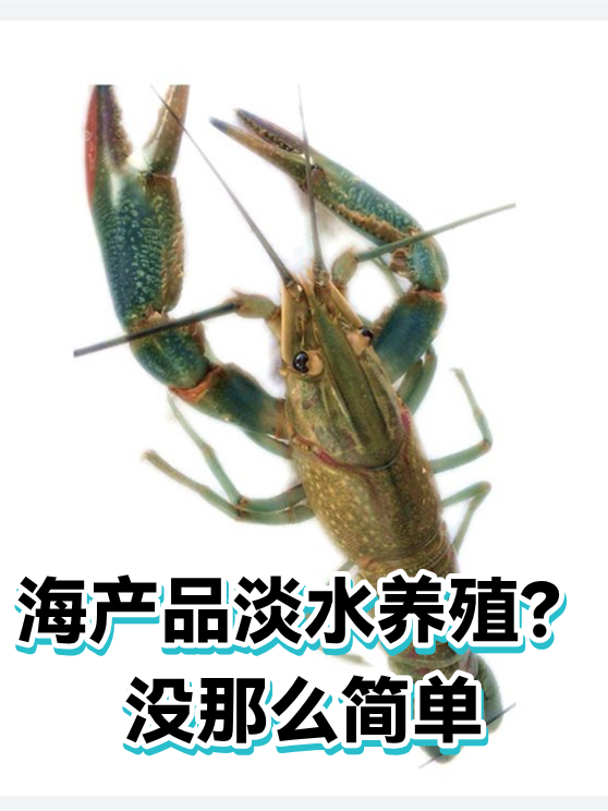 海产品淡水养殖？没那么简单（图1）