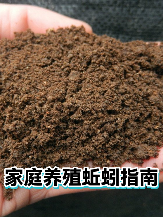 家庭养殖蚯蚓指南（图1）