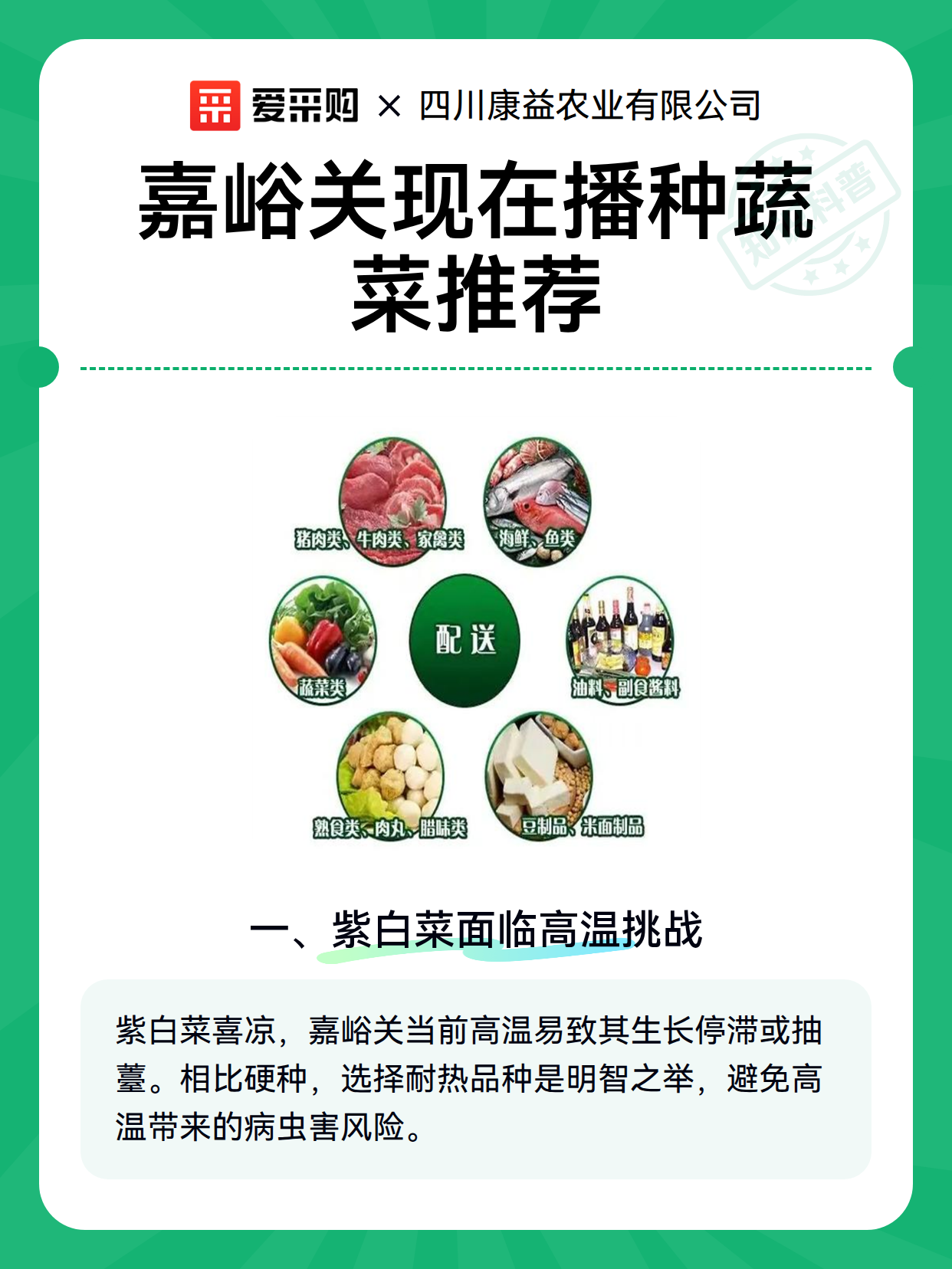 嘉峪关现在播种蔬菜推荐（图2）