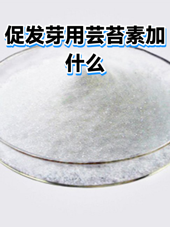 促发芽用芸苔素加什么（图1）