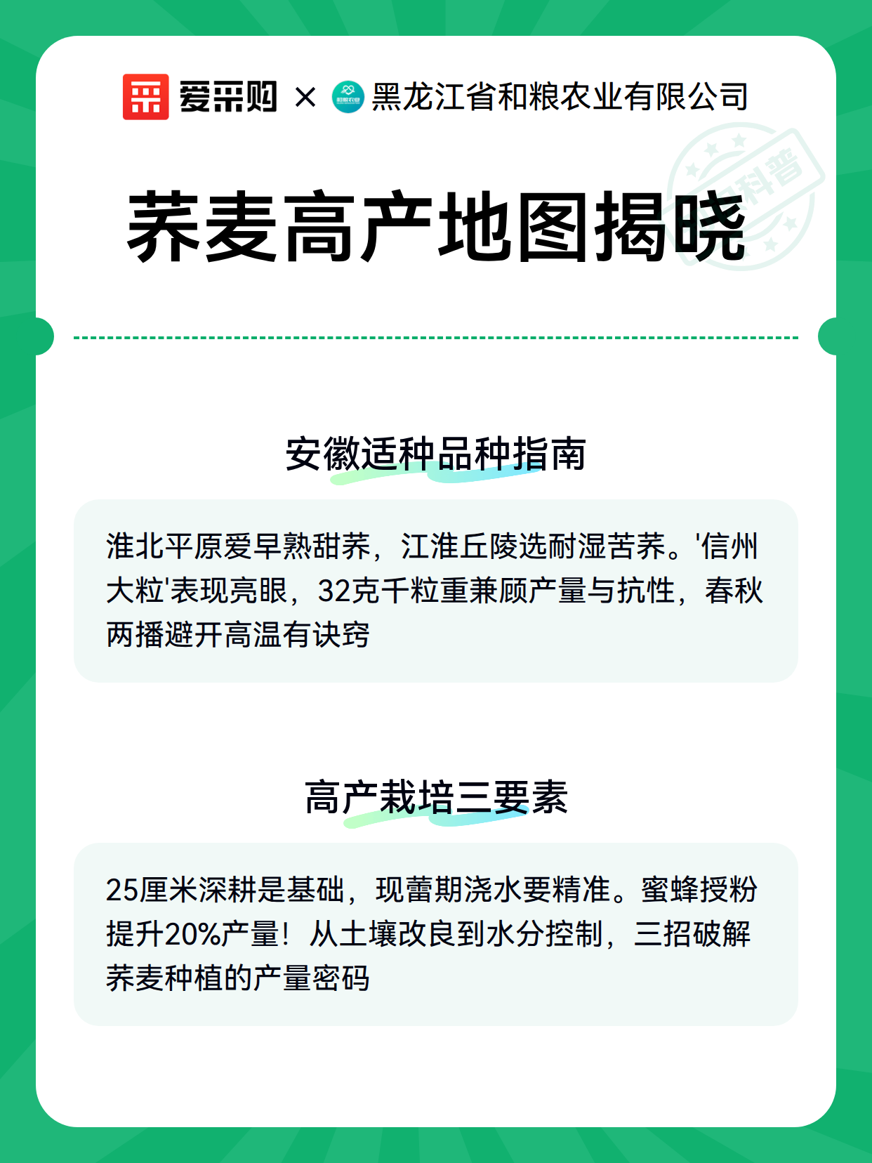荞麦高产地图揭晓（图3）