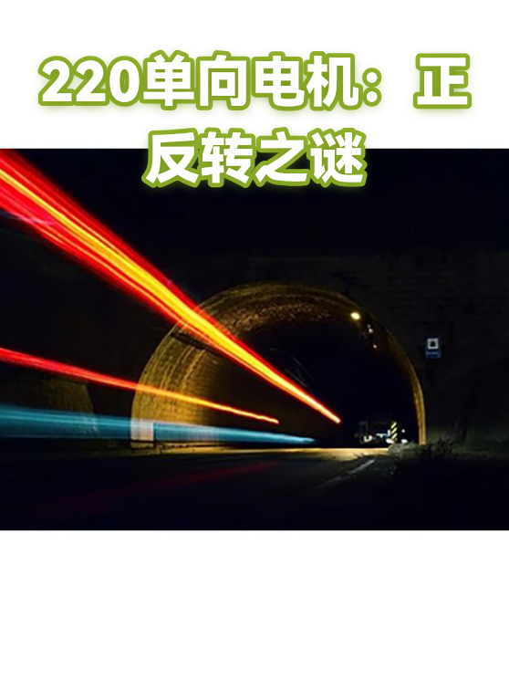 220单向电机：正反转之谜（图1）