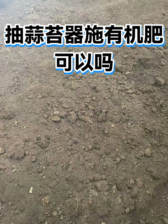 抽蒜苔器施有机肥可以吗（图1）