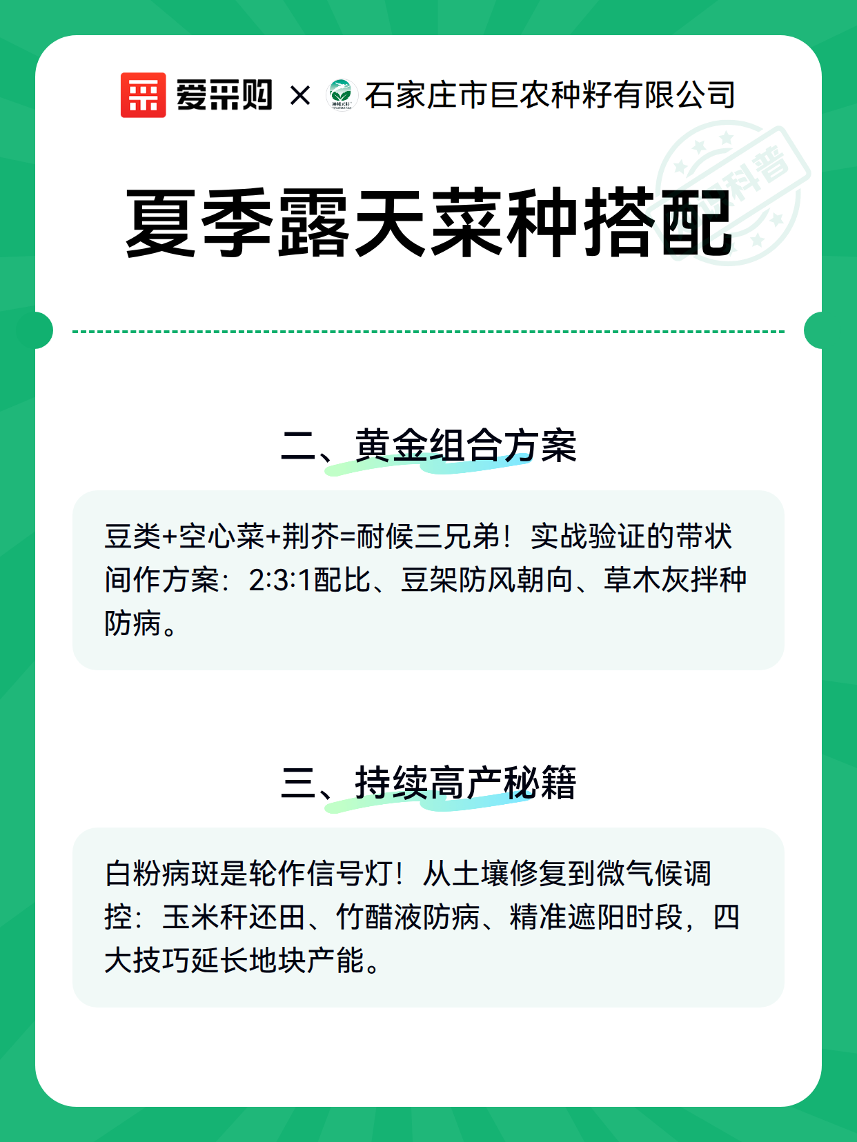 夏季露天菜种搭配（图2）