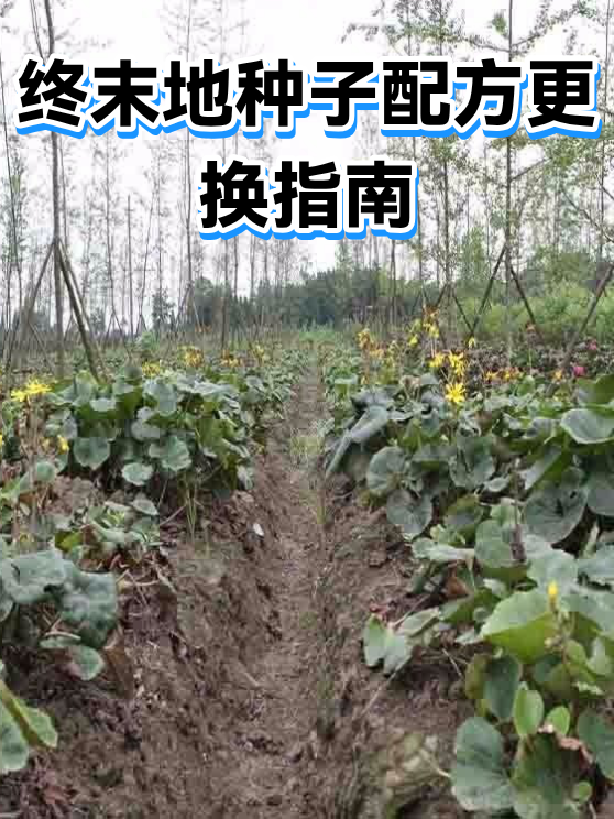 终末地种子配方更换指南（图1）