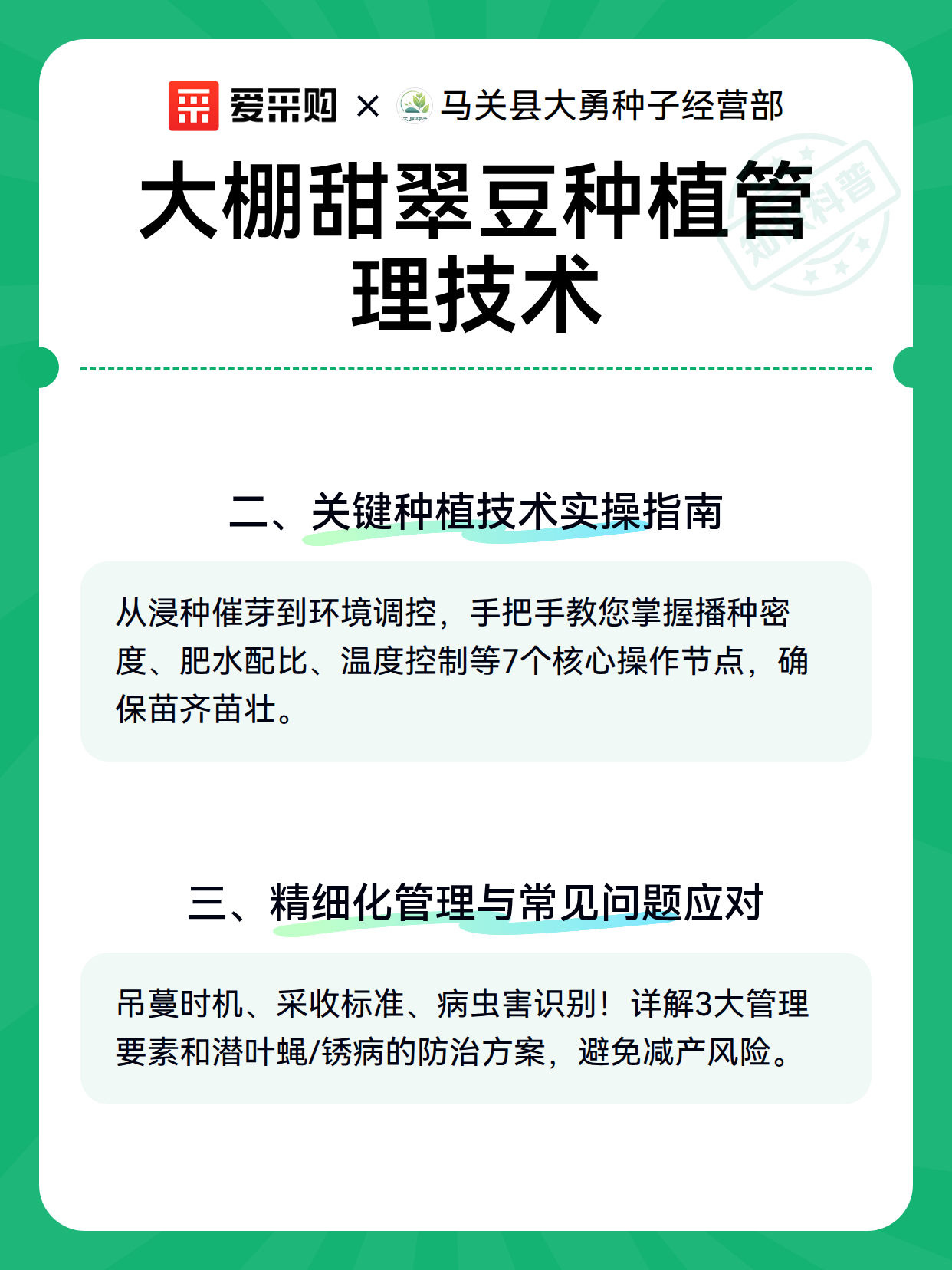 大棚甜翠豆种植管理技术（图3）