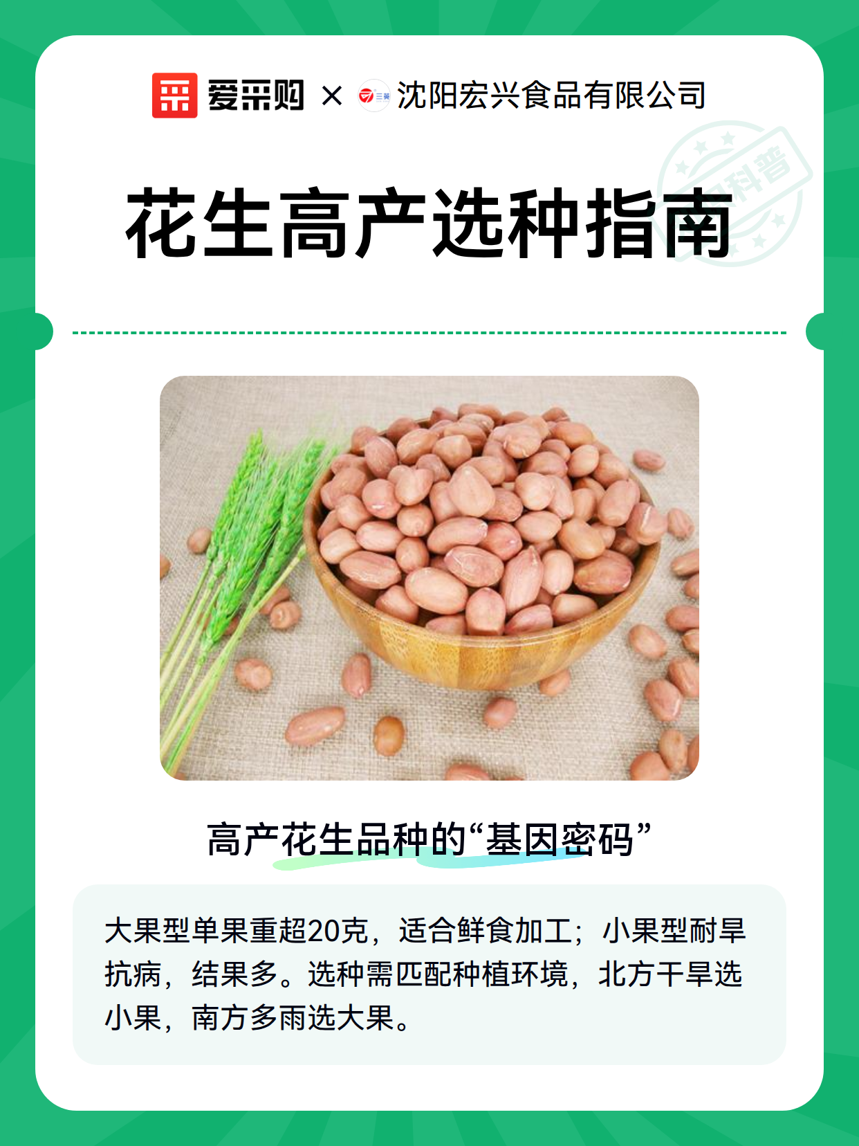 花生高产选种指南（图2）