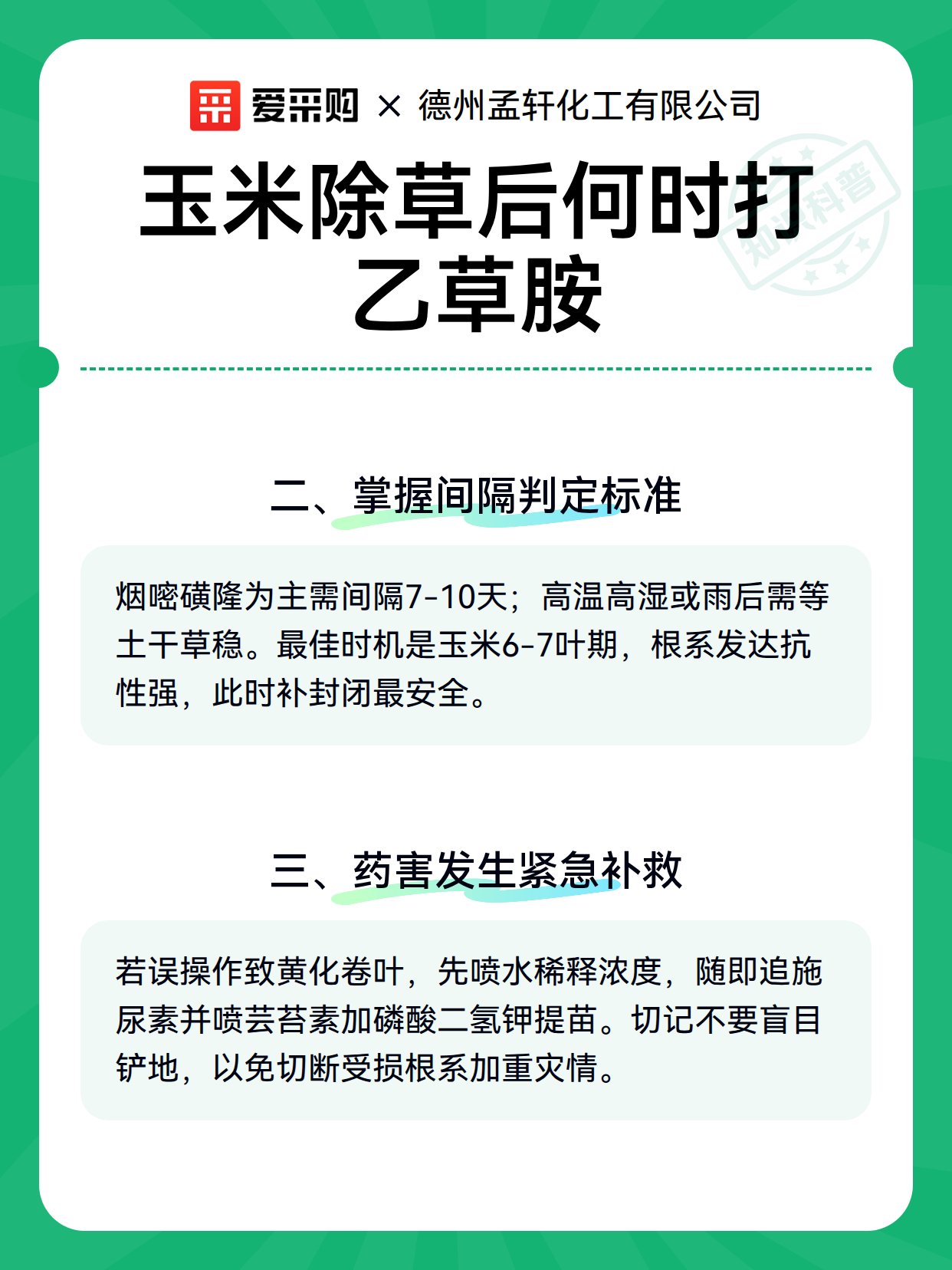 玉米除草后何时打乙草胺（图2）