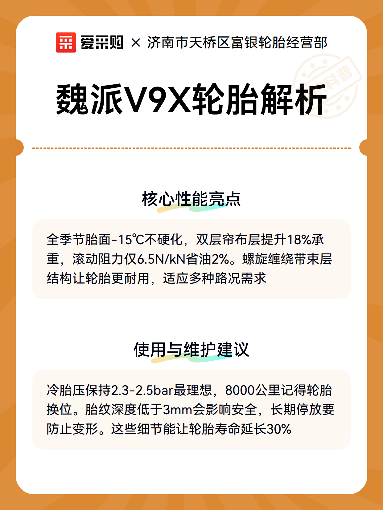 魏派V9X轮胎解析（图3）