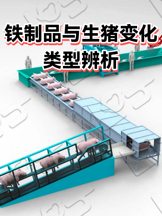 铁制品与生猪变化类型辨析（图1）