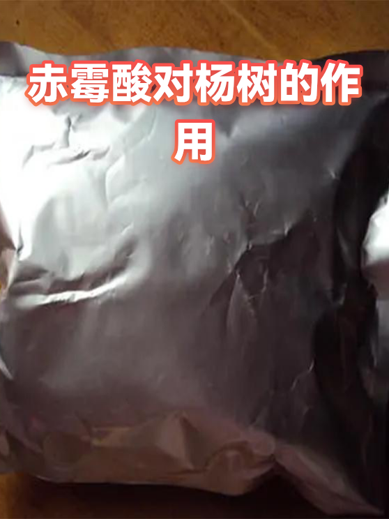 赤霉酸对杨树的作用（图1）