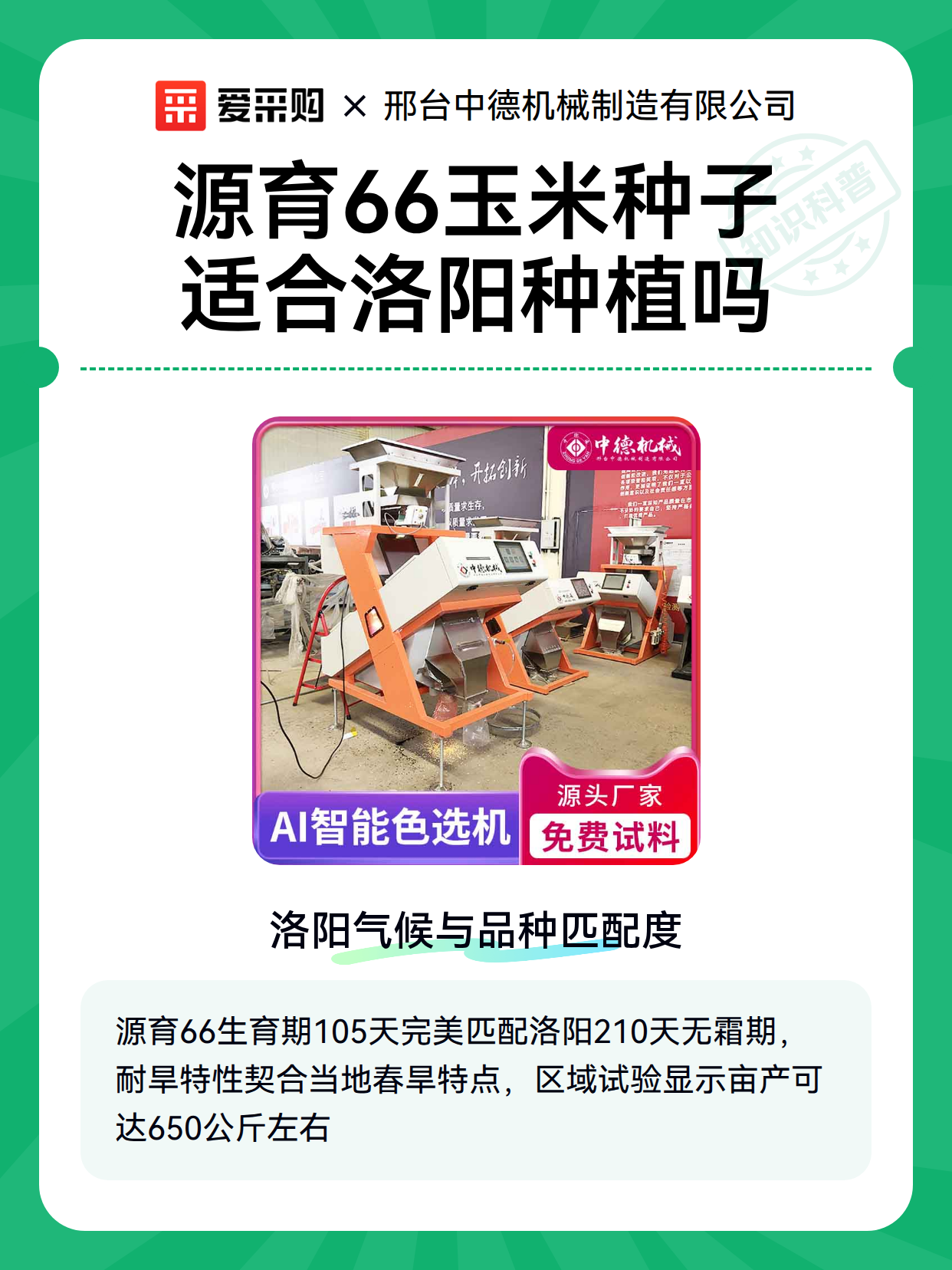 源育66玉米种子适合洛阳种植吗（图2）