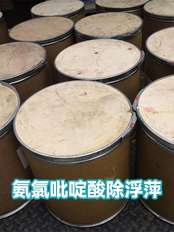 氨氯吡啶酸除浮萍（图1）