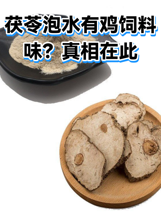 茯苓泡水有鸡饲料味？真相在此（图1）