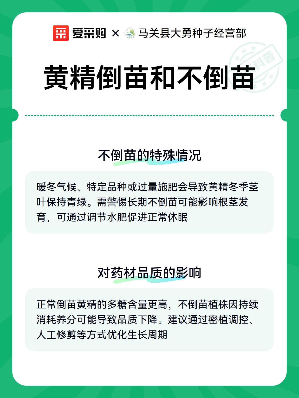 黄精倒苗和不倒苗（图3）