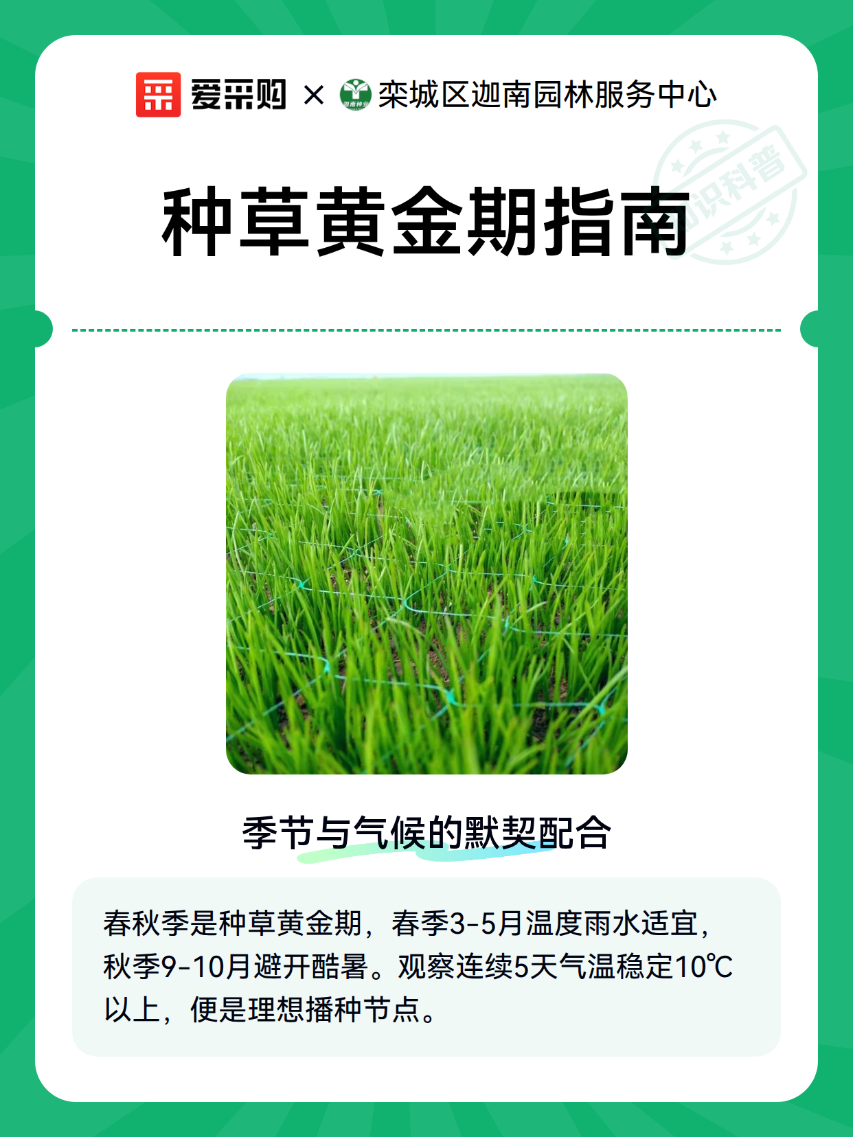 种草黄金期指南（图2）