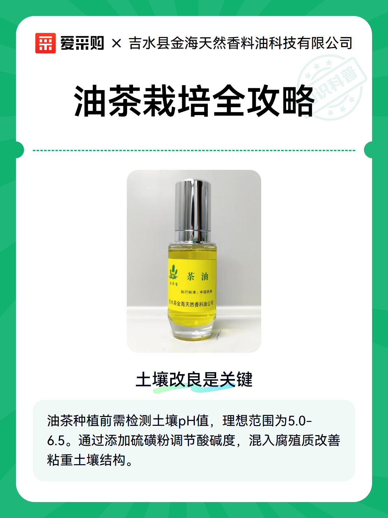 油茶栽培全攻略（图2）
