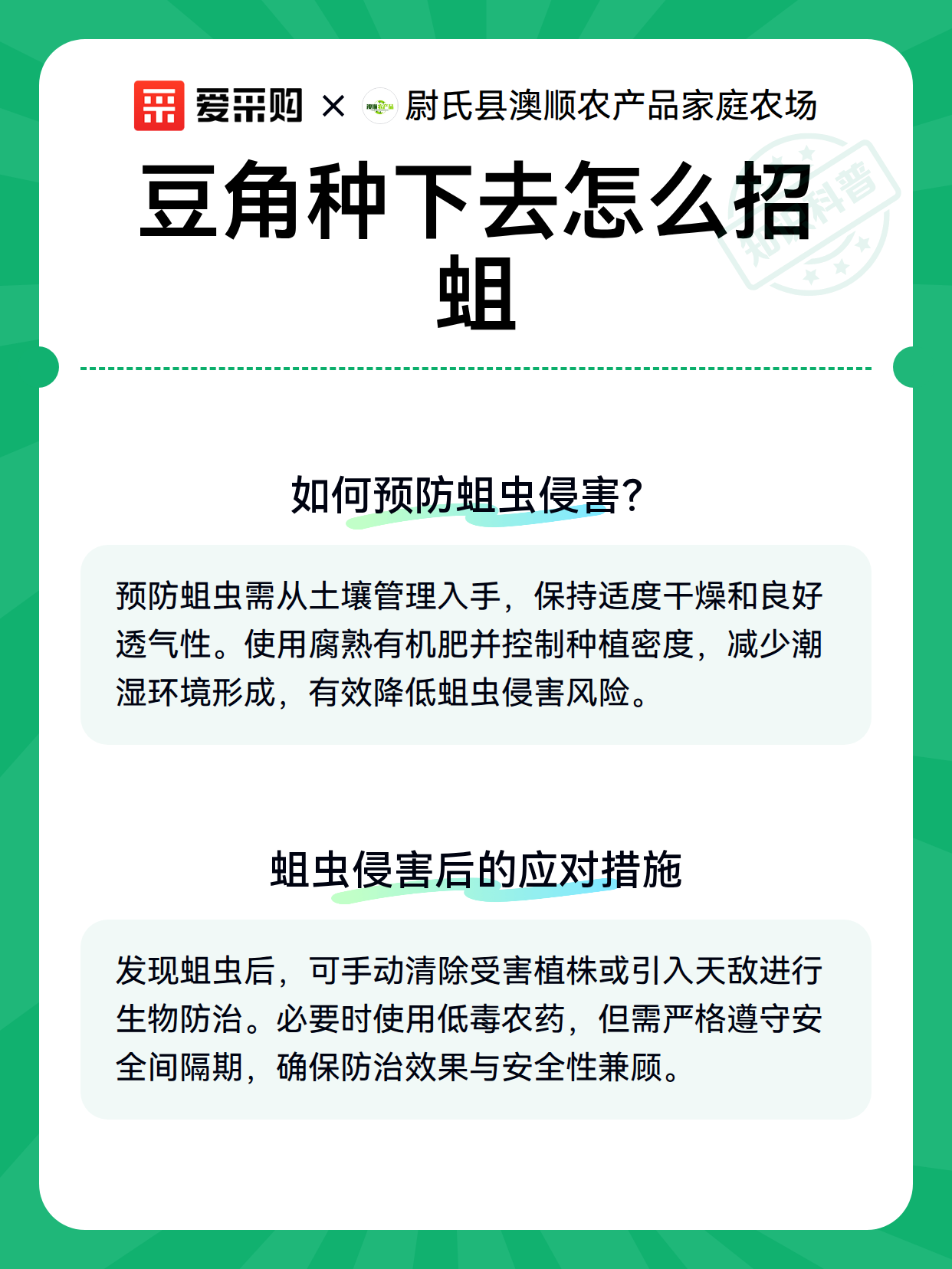 豆角种下去怎么招蛆（图3）