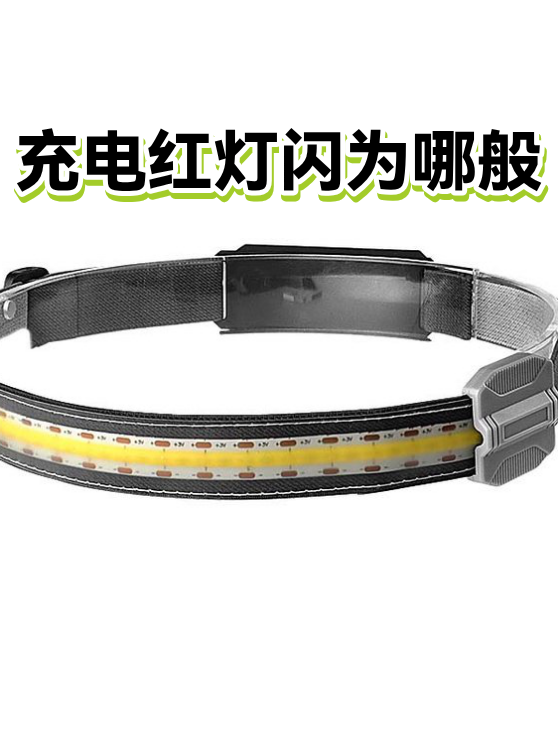 充电红灯闪为哪般（图1）