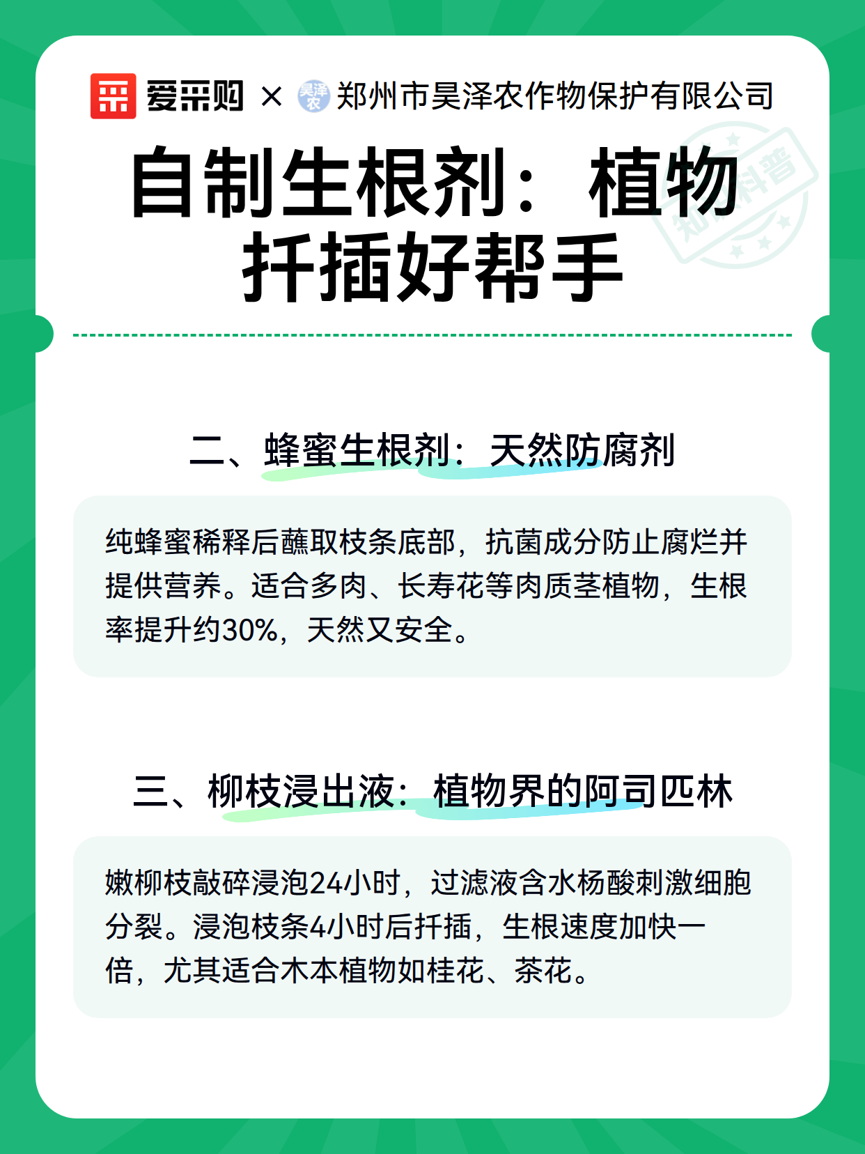 自制生根剂：植物扦插好帮手（图3）