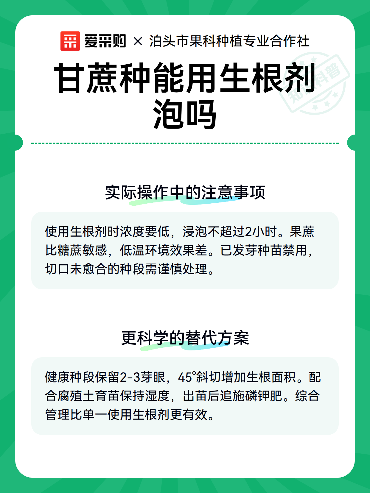 甘蔗种能用生根剂泡吗（图3）