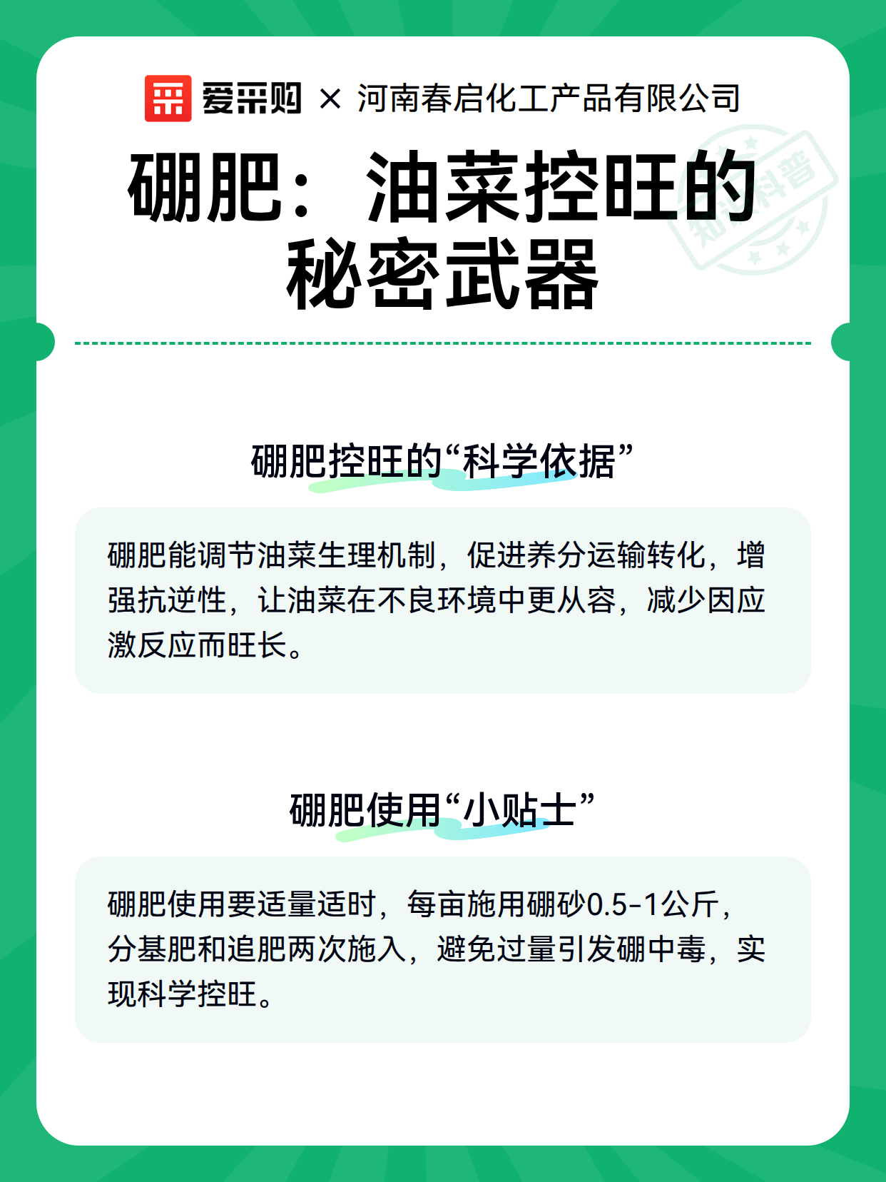 硼肥：油菜控旺的秘密武器（图3）