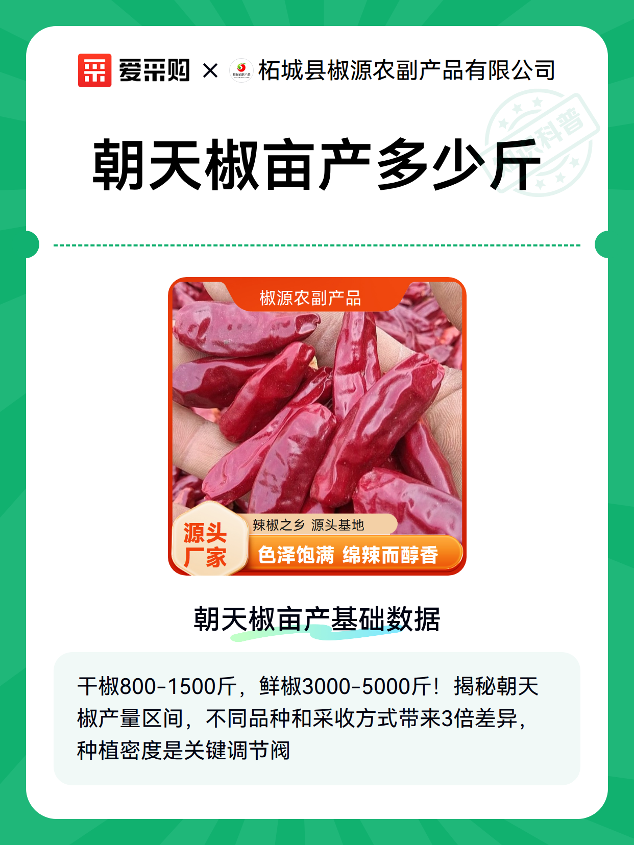 朝天椒亩产多少斤（图2）