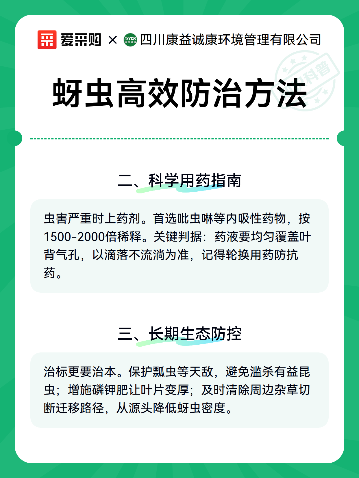 蚜虫高效防治方法（图2）