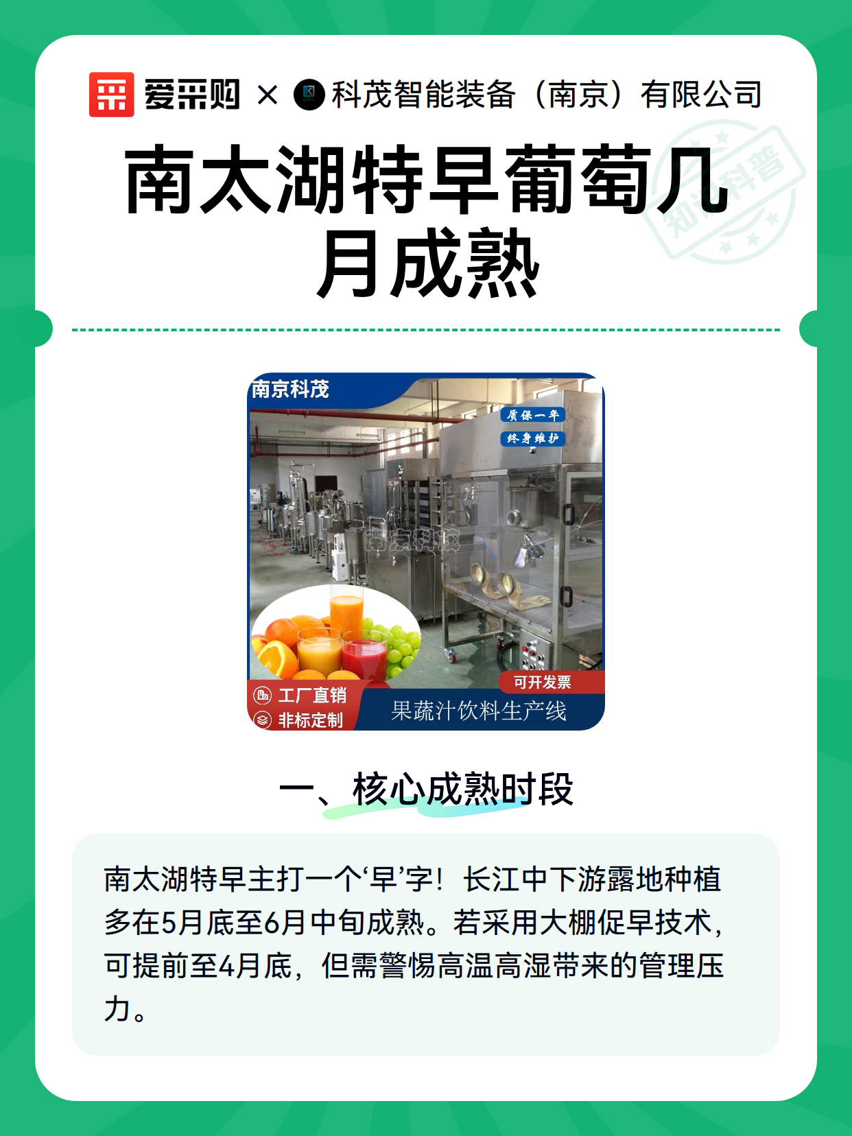 南太湖特早葡萄几月成熟（图2）