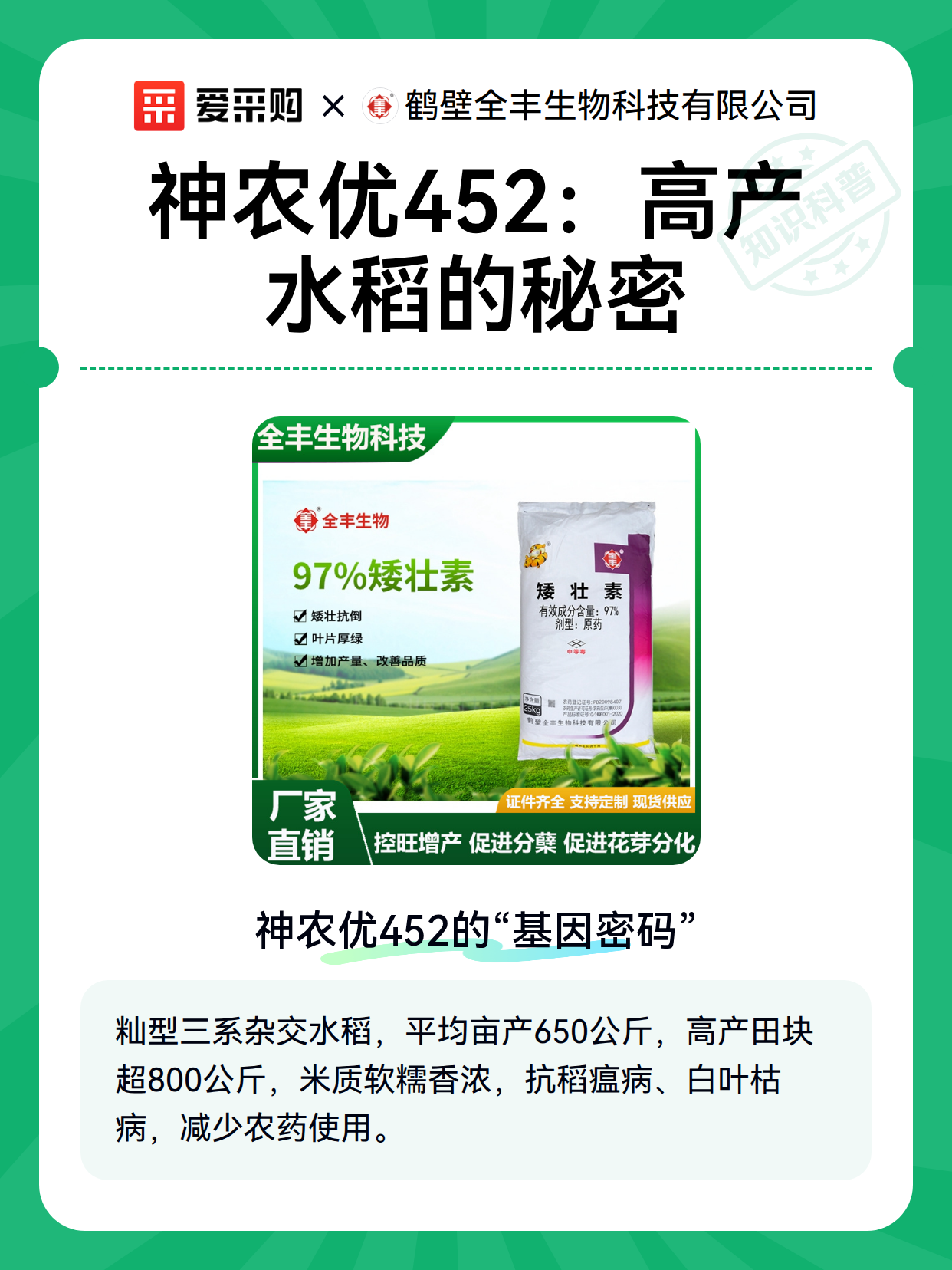 神农优452：高产水稻的秘密（图1）