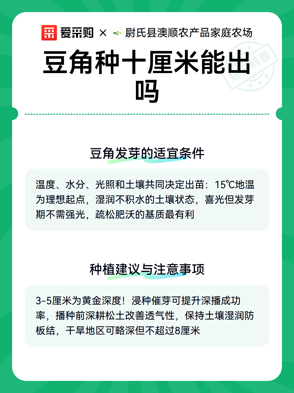豆角种十厘米能出吗（图3）