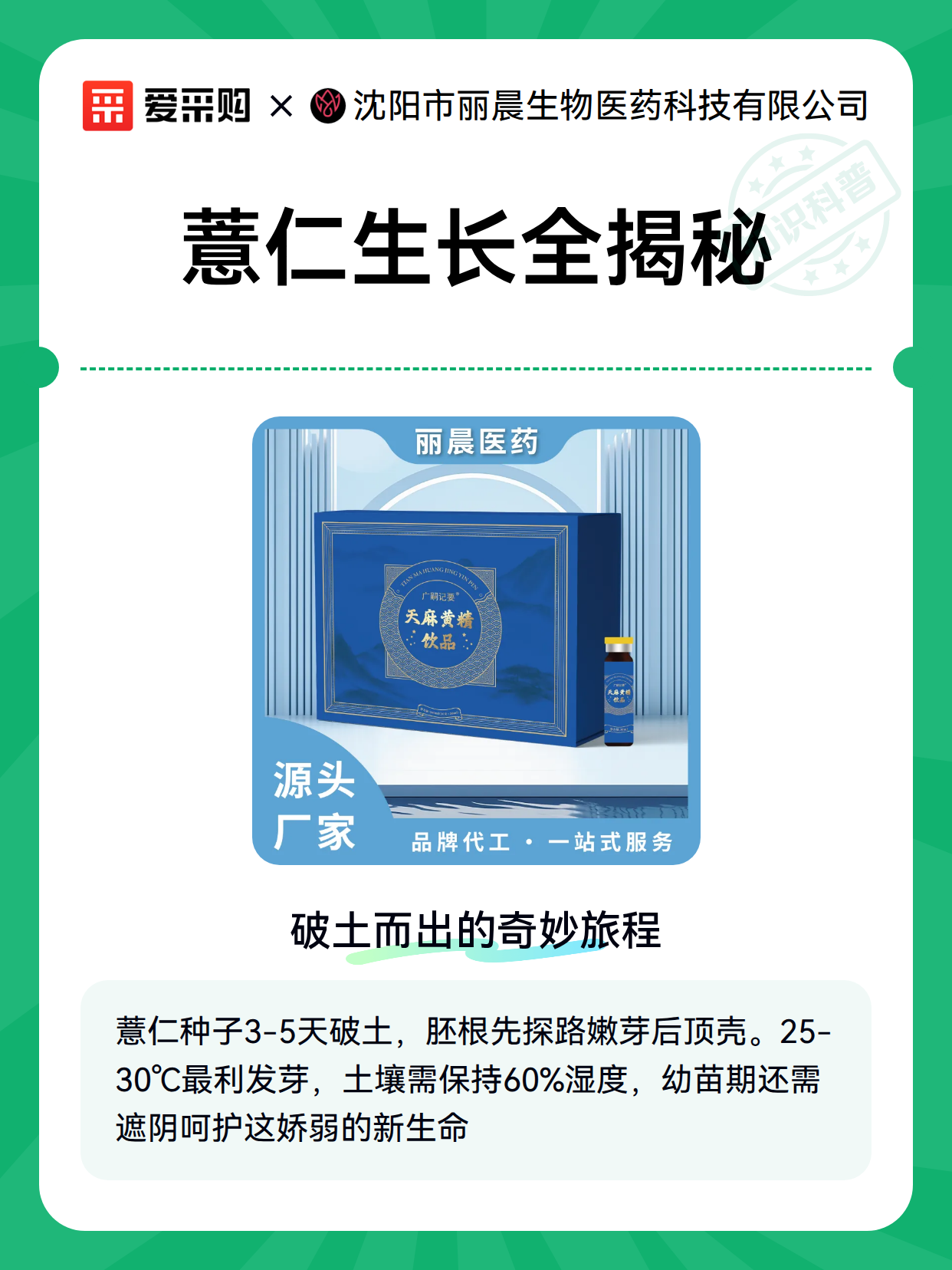 薏仁生长全揭秘（图2）