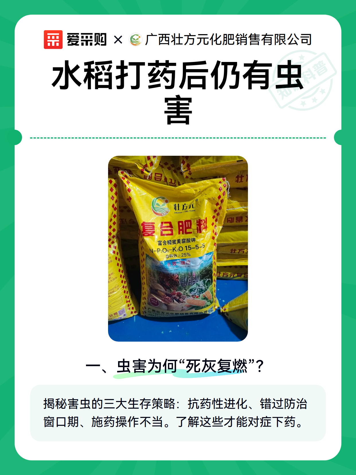 水稻打药后仍有虫害（图2）