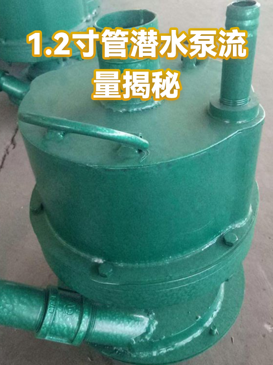 image-1
