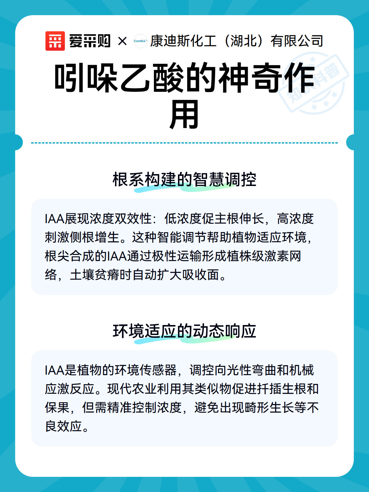 吲哚乙酸的神奇作用（图2）