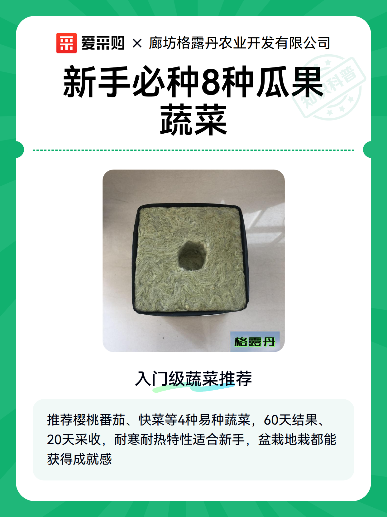 新手必种8种瓜果蔬菜（图2）