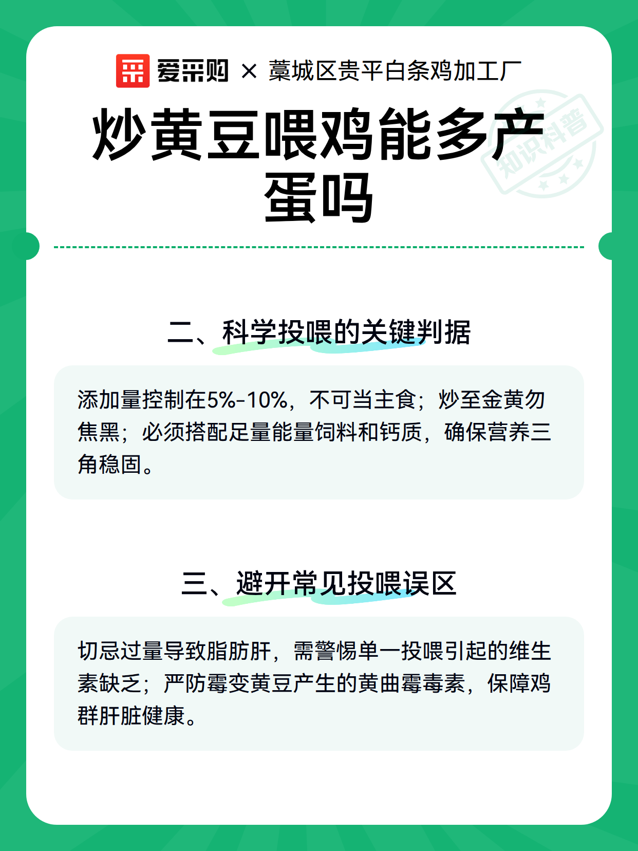 炒黄豆喂鸡能多产蛋吗（图2）