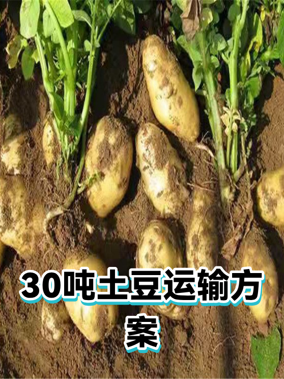 30吨土豆运输方案（图1）