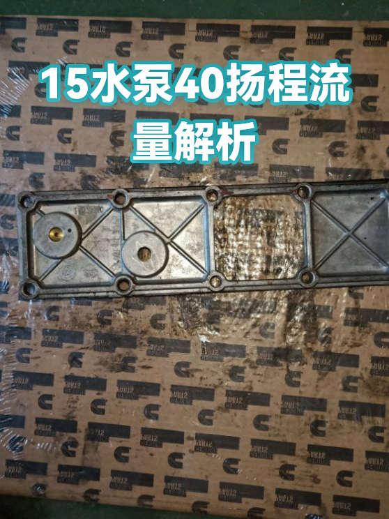 15水泵40扬程流量解析（图1）